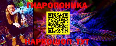 гидра Партизанск