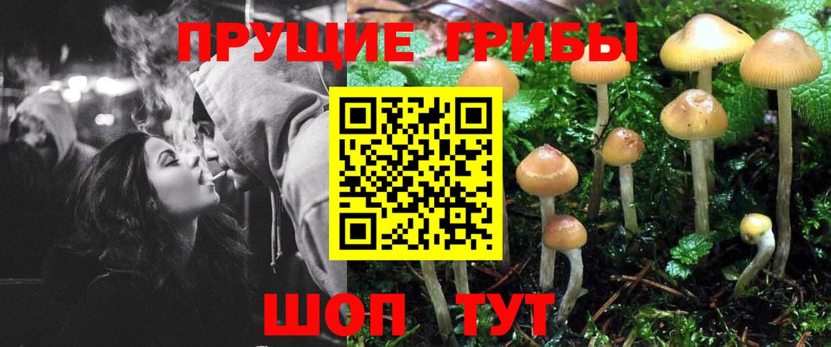 Галлюциногенные грибы мухоморы  Псилоцибиновые грибы Psilocybine cubensis  Вход с VPN  закладка  Прохладный 