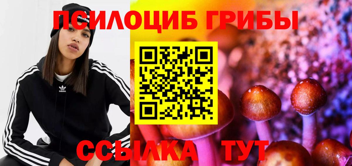Псилоцибиновые грибы GOLDEN TEACHER Прохладный